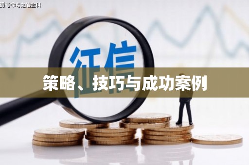 孟村策略、技巧与成功案例