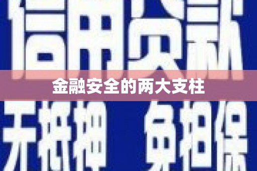 孟村金融安全的两大支柱