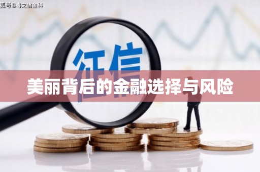 孟村美丽背后的金融选择与风险