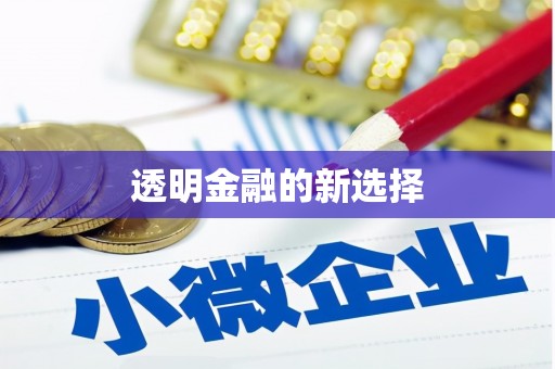 孟村透明金融的新选择