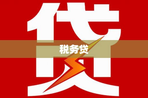 孟村税务贷