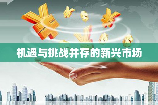 孟村机遇与挑战并存的新兴市场