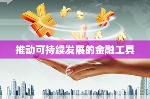 孟村推动可持续发展的金融工具