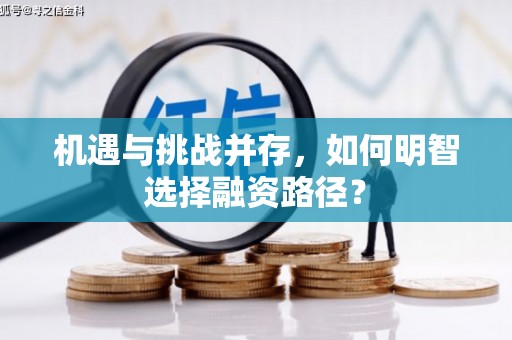 孟村机遇与挑战并存，如何明智选择融资路径？
