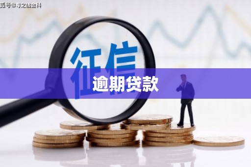 孟村逾期贷款
