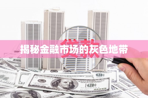 孟村揭秘金融市场的灰色地带