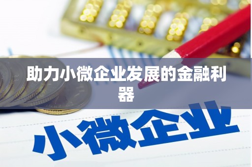 孟村助力小微企业发展的金融利器