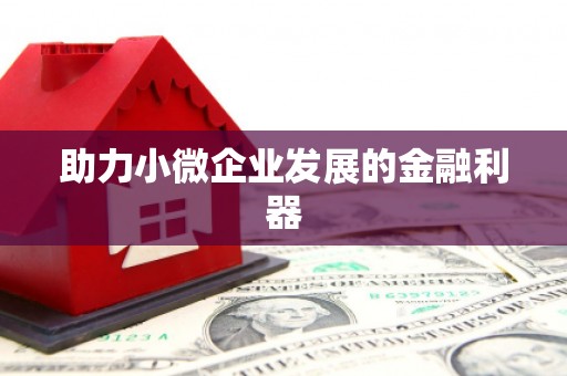 孟村助力小微企业发展的金融利器