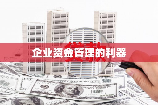 孟村企业资金管理的利器