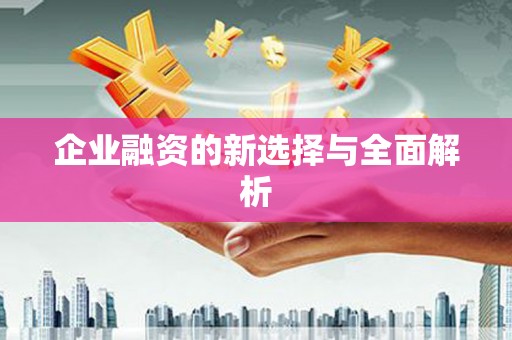 孟村企业融资的新选择与全面解析