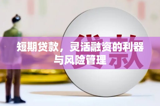 孟村短期贷款，灵活融资的利器与风险管理