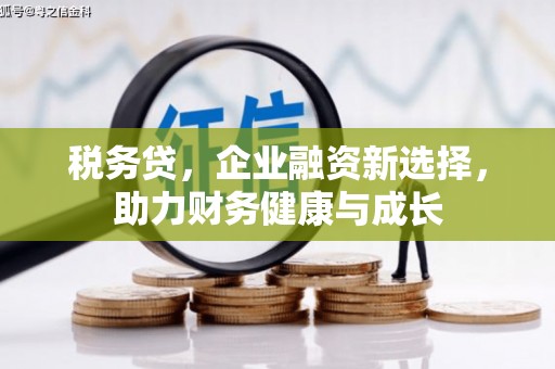 孟村税务贷，企业融资新选择，助力财务健康与成长