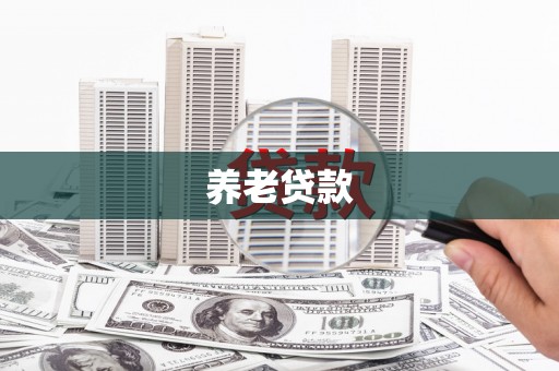 孟村养老贷款