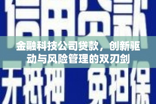孟村金融科技公司贷款，创新驱动与风险管理的双刃剑